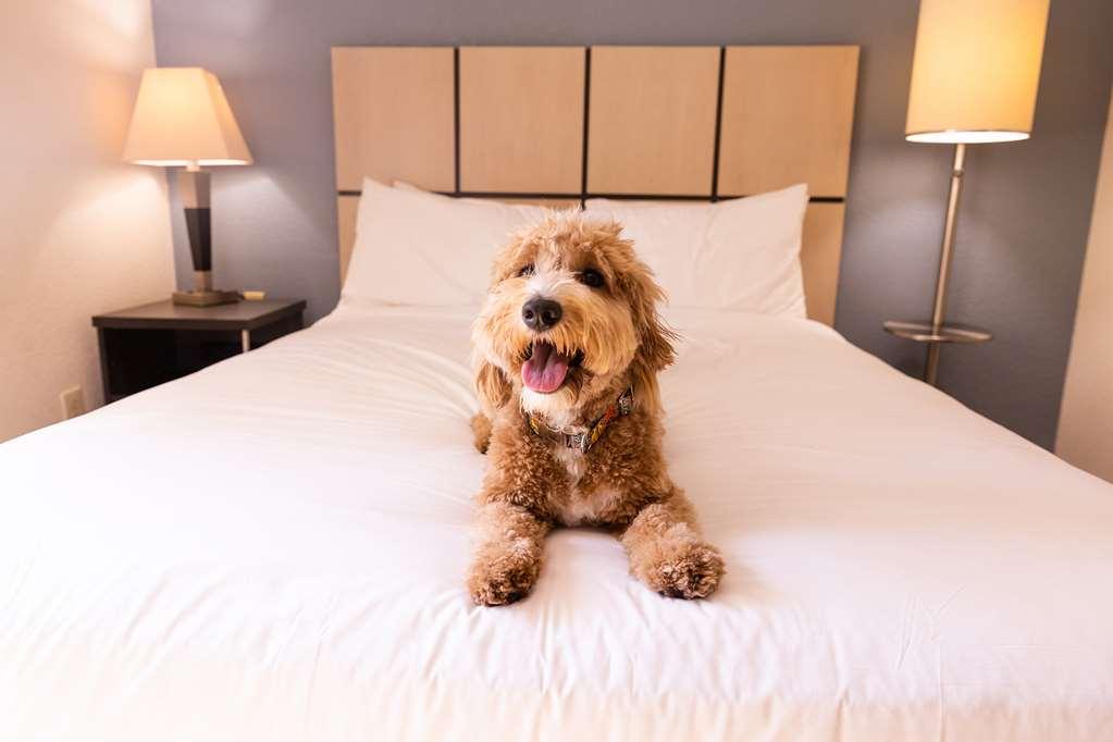 Sonesta Simply Suites Cleveland North Olmsted Airport Esterno foto